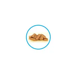 پوچ گربه برای تقویت پوست و مو (ریزش مو و حساسیت پوستی) 100gr رویال کنین