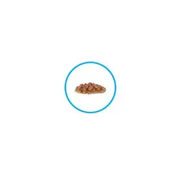 پوچ رژیمی در ژله برای کاهش وزن گربه های چاق 85gr رویال کنین