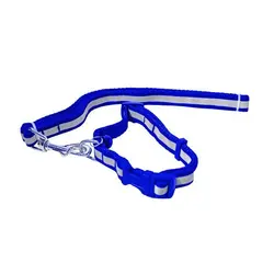 قلاده گردنی شبرنگ سگ رنگ آبی سایز Medium