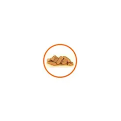 پوچ رویال کنین مخصوص گربه بالای 7 سال با فعالیت کم 100gr