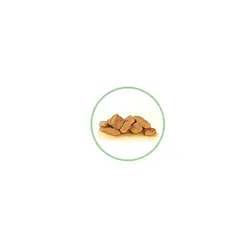 پوچ رویال کنین برای فاز دوم رشد بچه گربه (4 تا 12 ماهگی) 100gr