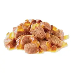 پوچ گربه بالغ بالای 12 ماه حاوی تکه های لذیذ در ژله 85gr