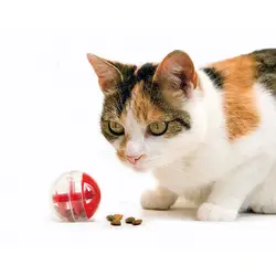 توپ تشویقی گربه Karlie