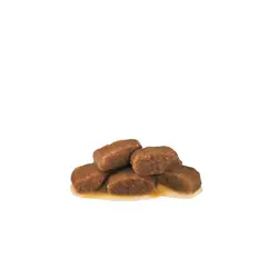 پوچ گربه مبتلا به بیماری کلیوی طعم گوشت رویال کنین