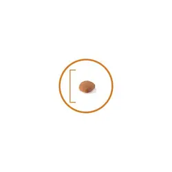 غذای خشک رویال کنین مخصوص گربه های بد غذا با میل به پروتئین بالا 2kg