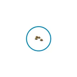 غذای خشک رویال کنین مخصوص گربه های موبلند خانگی 400gr