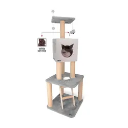 درخت گربه کد K