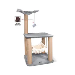 درخت گربه کد Y