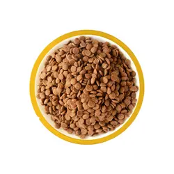 غذای خشک گربه بالغ طعم مرغ و بوقلمون CAT&amp;CO