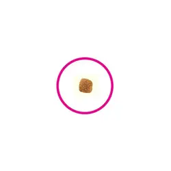 غذای خشک رویال کنین مخصوص گربه ماده عقیم شده 2kg