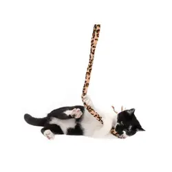 ميله بازي سافاري گربه