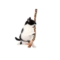 ميله بازي سافاري گربه