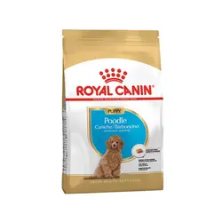 غذا خشک مخصوص توله سگ نژاد پودل برند رویال کنین