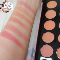 پالت رژگونه ارت اسکین