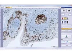 میکروسکوپ بیولوژی مدل Olympus BX53 - تجهیزات آزمایشگاهی زیست دهش خاورمیانه