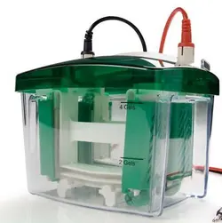 دستگاه الکتروفورز مدل MINI PROTEAN TETRA CELL-تجهیزات آزمایشگاهی زیست دهش خاورمیانه