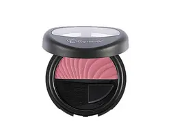 خرید و قیمت رژگونه صورتی فلورمار شماره 88