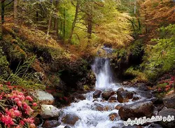 نخ و نقشه آماده بافت طرح منظره آبشار - 2362