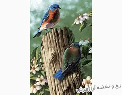 نخ و نقشه تابلو فرش طرح پرنده - 1585