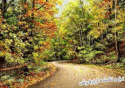 نخ و نقشه تابلو فرش طرح منظره پاییزی خیابان - 2242