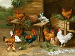 نخ و نقشه بافت تابلوفرش طرح مرغ و خروس - 1530