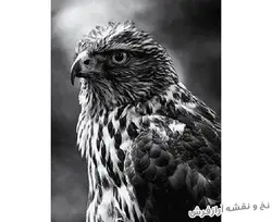 نخ و نقشه آماده تابلو فرش طرح عقاب - 1550