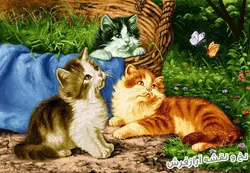 نخ و نقشه تابلو فرش طرح گربه های زیبا - 1603