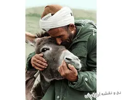 نخ و نقشه آماده بافت تابلو فرش دستباف بوسه بر خر - 3251