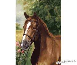 نخ و نقشه بافت تابلو فرش طرح کله اسب - 1522