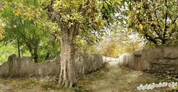 نخ و نقشه تابلوفرش منظره کوچه باغ پاییزی