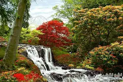 نخ و نقشه آماده تابلو فرش منظره آبشار بهاری