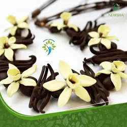 چای سیاه وانیل نیوشا