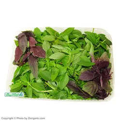 سبزی ریحان خرد نشده ارگانیک 100 گرمی باغ ارگانیک