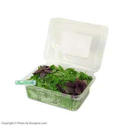 سبزی ریحان خرد نشده ارگانیک 100 گرمی باغ ارگانیک
