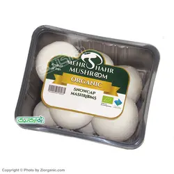 قارچ ارگانیک 400 گرمی مهرشهر