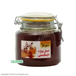 عسل وحشی دیابتی چهل گیاه ارگانیک 1 کیلویی کلان آذر