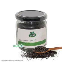 تخم شربتی 230 گرمی سالم آبگینه