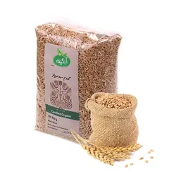 گندم کامل (سبوس دار) ارگانیک 900 گرمی آبگینه