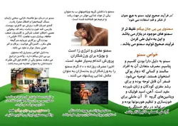 سمنو ارگانیک 100 گرمی بی بی جان بیگم
