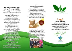 سمنو ارگانیک 500 گرمی بی بی جان بیگم