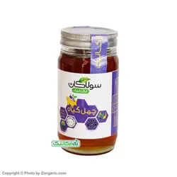 عسل ارگانیک چهل گیاه 685 گرمی سولاکان