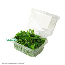 سبزی نعنا فلفلی خرد نشده ارگانیک 100 گرمی باغ ارگانیک