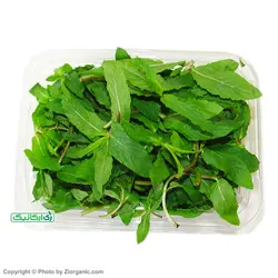 سبزی نعنا فلفلی خرد نشده ارگانیک 100 گرمی باغ ارگانیک