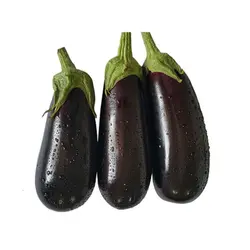 بادمجان ارگانیک 1 کیلوگرمی شفانیک