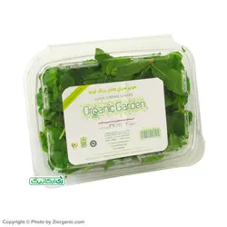 سبزی نعنا خرد شده ارگانیک 300 گرمی باغ ارگانیک