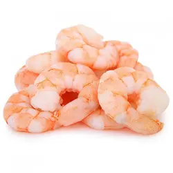 شاه میگو U15 تازه خلیج فارس