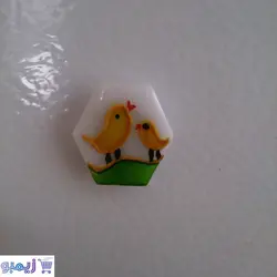 رویخچالی طرح جوجه