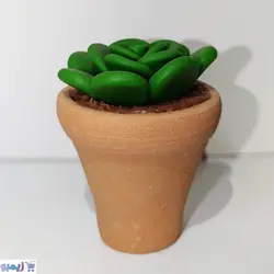 گلدون خمیری کاکتوس