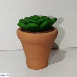 گلدون خمیری کاکتوس