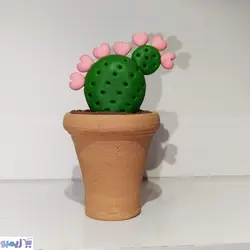 گلدون کاکتوس گل صورتی